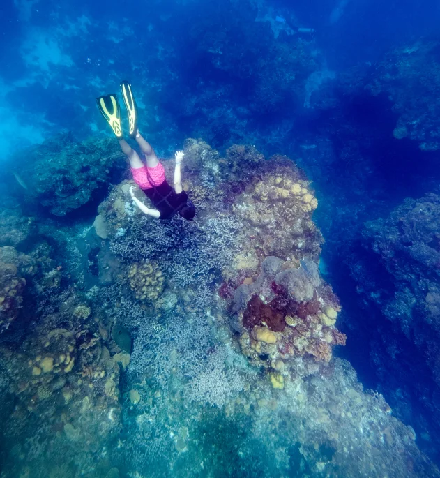 The Thrill of Drift Diving at Batu Bolong&rsquo;s Marine Paradise